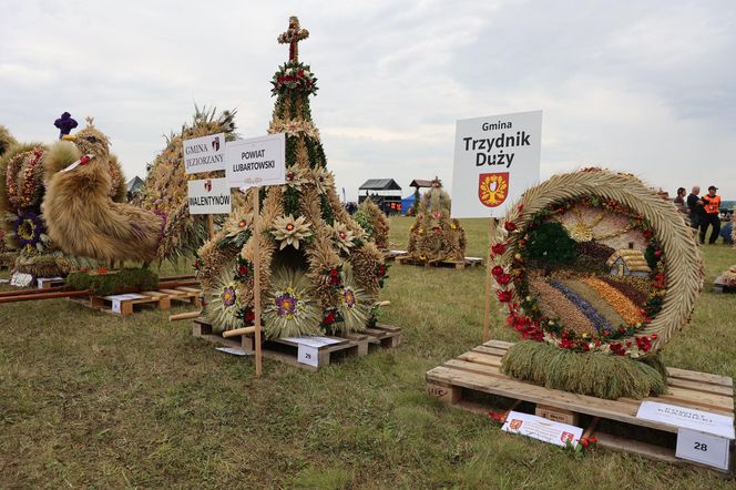 Dożynki wojewódzkie 2025 w Świdniku
