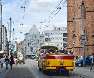 Kultowy autobus kabrio wyjedzie na ulice Wrocławia. Fredruś to unikat!