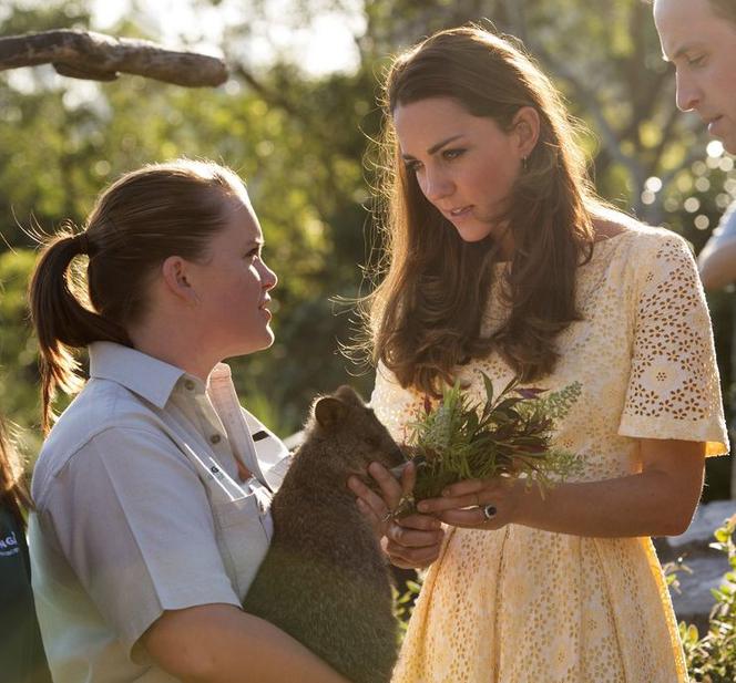 Księżna Kate w ZOO