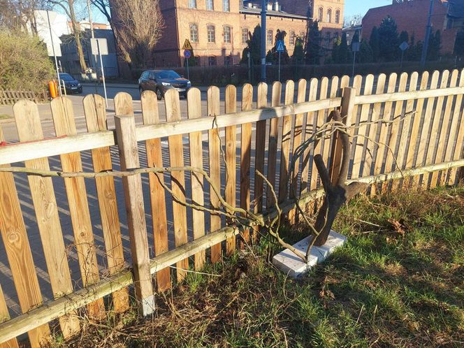 Muzeum Patyka w Toruniu