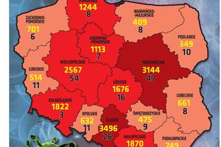 koronawirus polska wojewodztwa 11.04.2021