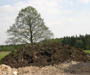 Definicja budowli ziemnej. Co przepisy mówią o nasypach, wykopach i wałach na działce