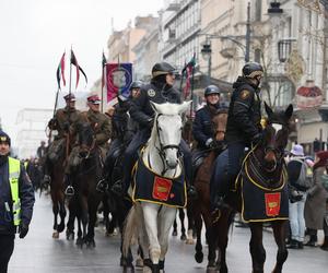 WOŚP 2024. Wielka szarża na Piotrkowskiej