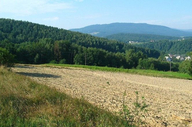 Kupno działki: kiedy teren ogranicza możliwości budowy domu