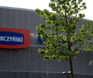 Zielona przemiana Tarczyński Areny Wrocław! Prawie 1800 nowych roślin odmieni oblicze stadionu