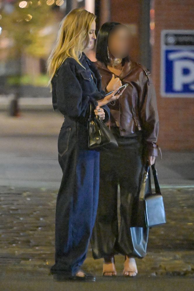 Impreza u Julii Wieniawy