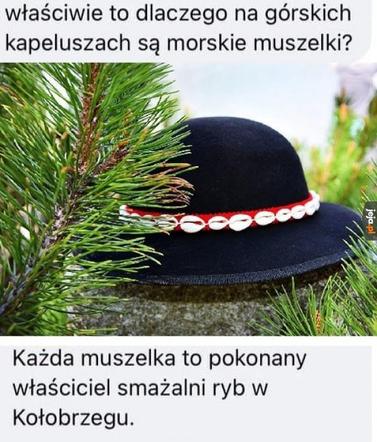 Ferie w Zakopanem? Najlepsze memy o wyjazdach w góry! 