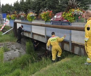 Dawidek zginął z rąk własnego ojca. Paweł Z. dźgnął 5-latka nożem 11 razy. Mija 6 lat od tej tragedii