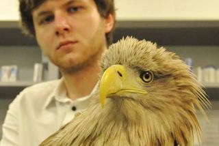 Szpital dla leśnych zwierząt