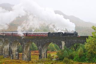 Wymarzona praca dla fanów Harry'ego Pottera! Możesz poczuć się, jak prawdziwy czarodziej!