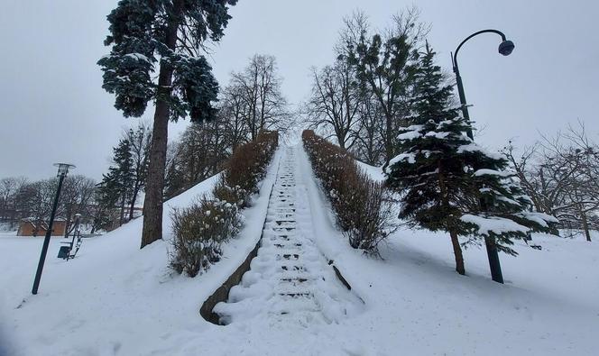 Zamojski Park pod śniegiem