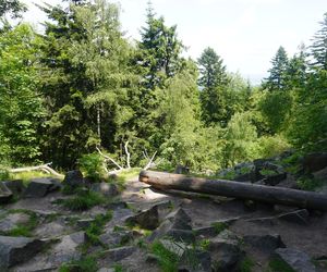 Gołoborza na Łysicy