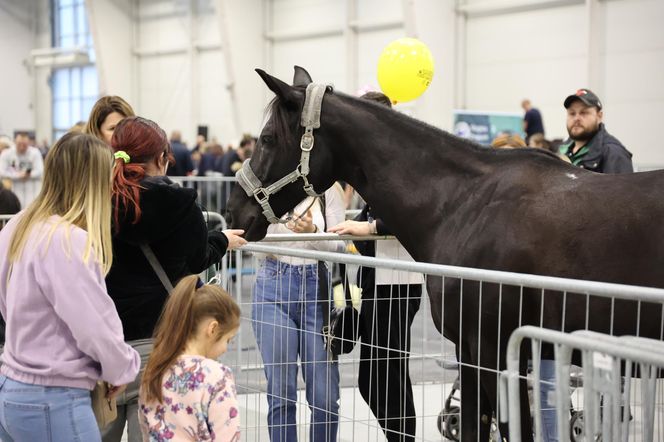 Zoopark 2024 w Lublinie. Można podziwiać wiele gatunków zwierząt