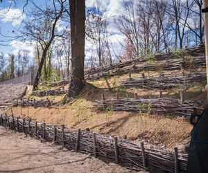Warszawa. Park Żerański