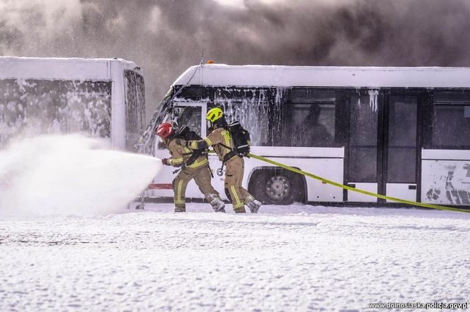 Wrocław. Ćwiczenia na terenie Portu Lotniczego im. Mikołaja Kopernika [ZDJĘCIA].
