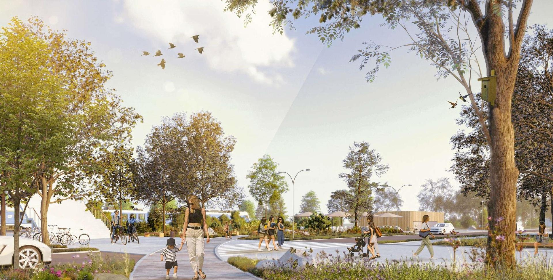 Nowe Centrum Hajnówki