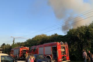 Pożar w ogródku działkowym w okolicach ulicy Lewinowskkiej i Łodygowej