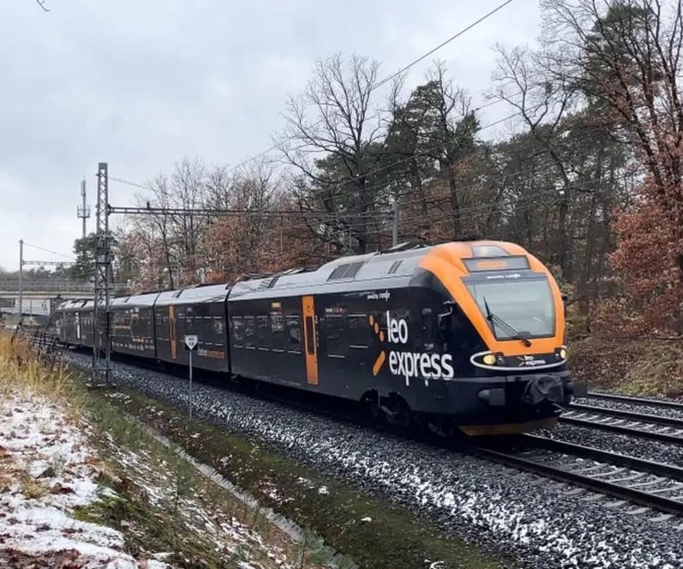 Czarno-pomarańczowy pociąg Leo Express na torach, otoczony zimowym krajobrazem z drzewami i resztkami śniegu. Informacje o konkurencji kolejowej i nowych połączeniach na rynku, m.in. Leo Express, przeczytasz na Super Biznes.