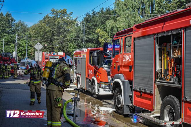 Pożar mieszkania w katowickich Szopienicach. Ewakuowało się 14 osób