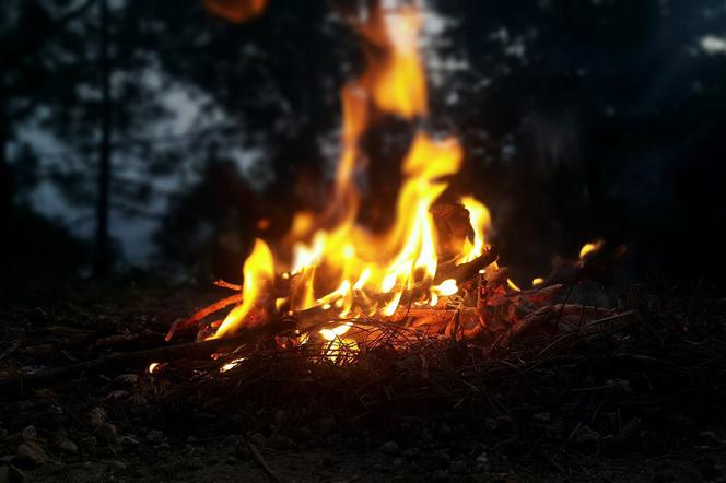 Pożary lasów na Pomorzu 