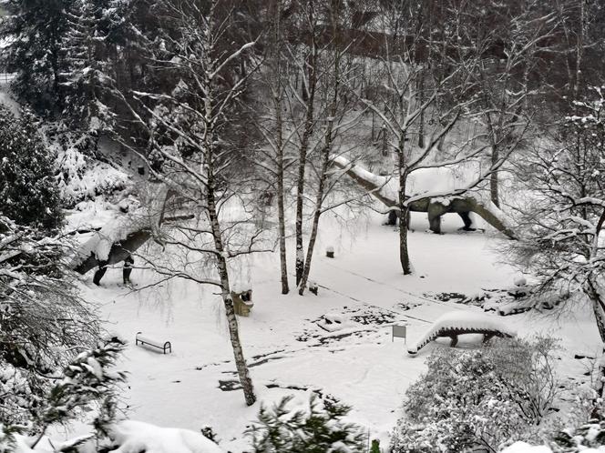 Nad Zoo w Chorzowie kursuje nowa "Elka" - fotki z pierwszego przejazdu nowej linii kolejki w Parku Śląskim