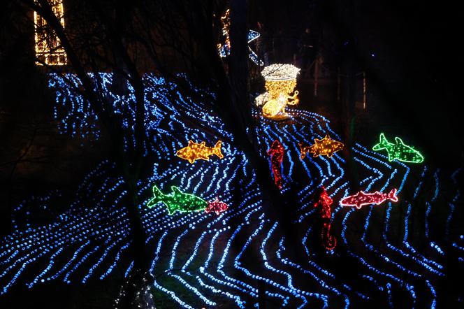 „Historia światła” po raz ostatni. Park iluminacji w Lublinie kończy sezon