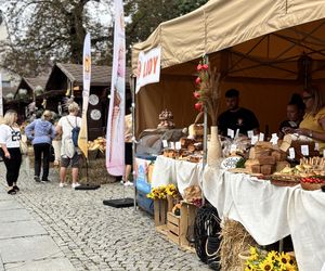 Za nami 27. edycja Święta Chleba w Radomiu