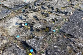 Stan stadionu przy ul. Sulechowskiej w Zielonej Górze