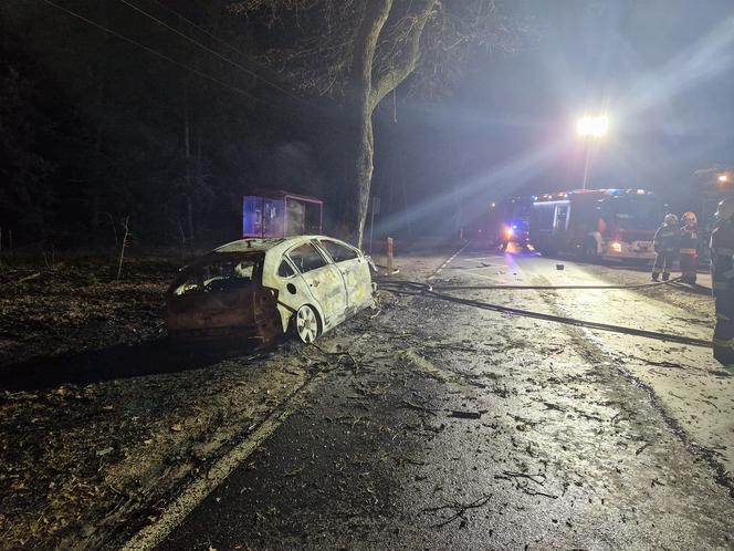 Dramatyczny wypadek w Herbutowie! Auto uderzyło w drzewo i spłonęło. Jedna osoba nie żyje