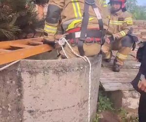 Pies wpadł do głębokiej studni. Na pomoc ruszyli strażacy