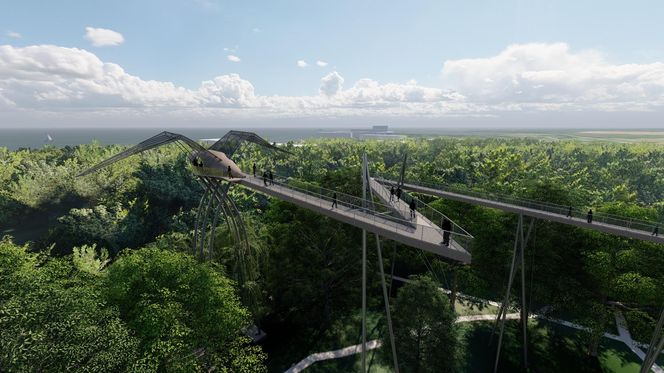Projekt platformy widokowej typu Skywalk w Kołobrzegu