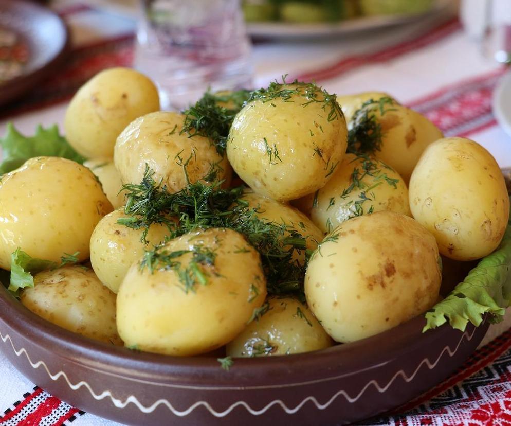 Gdzie na obiad w Lublinie? Klienci nie mają złudzeń!