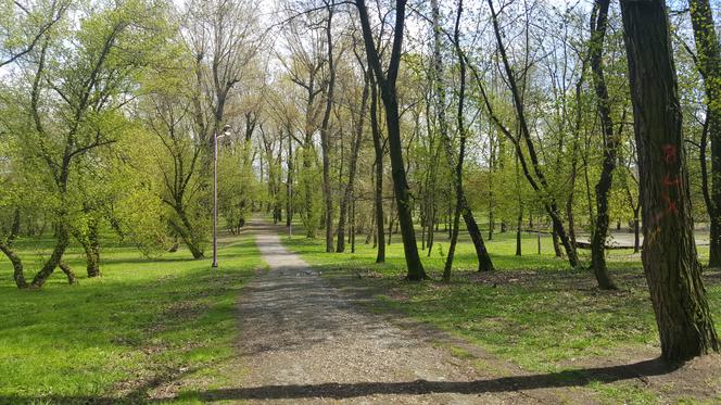 Park Prochownia w Czeladzi