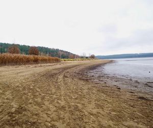 Mroczne klimaty nad zalewem brodzkim. Idealne na spacer dla fotografów