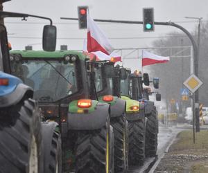 Protest rolników w Toruniu i okolicach. Zdjęcia z piątku - 9 lutego 2024