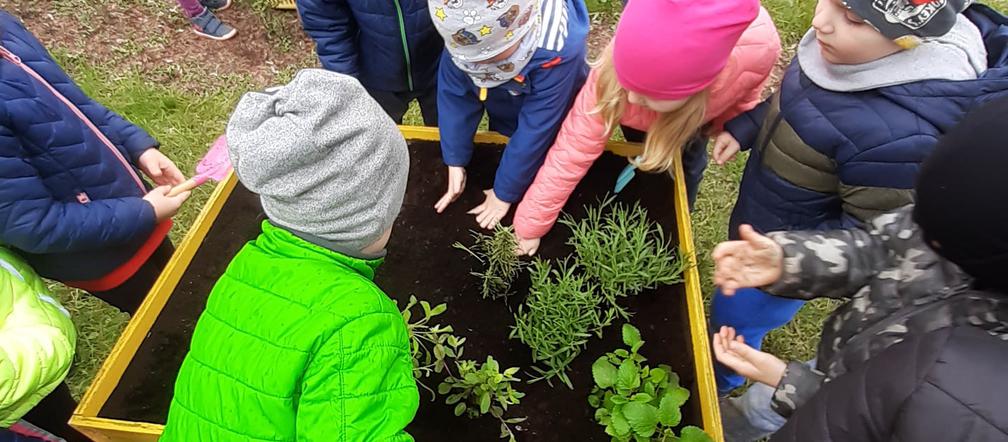 Certyfikat Master Eco dla Przedszkola Miejskiego nr. 18 w Lesznie