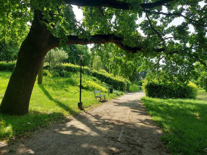 Park Miejski w Zamościu