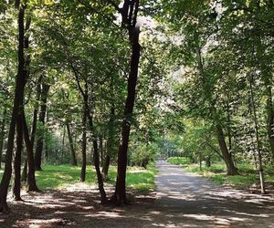 Park Kościuszki Katowice