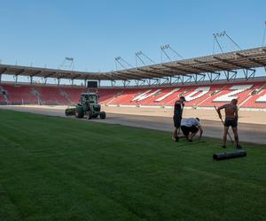 Nowa murawa na stadionie Widzewa