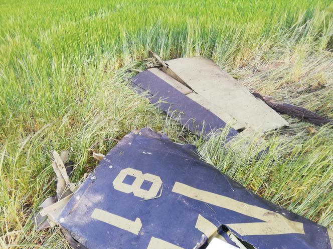 Tragedia po Antidotum. W Czechach rozbił się samolot T-28 Trojan, pilot nie żyje
