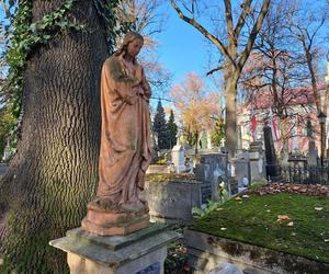 Stary Cmentarz w Tarnowie 2022