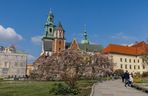 To najdroższe muzeum w Polsce. Za rodzinne zwiedzanie musimy zapłacić ponad 300 zł