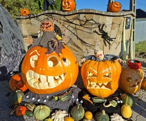 U Łukasza z Pawłowa hasło cukierek albo psikus nabiera innego wymiaru. Najbardziej halloweenowy dom świętokrzyskiego