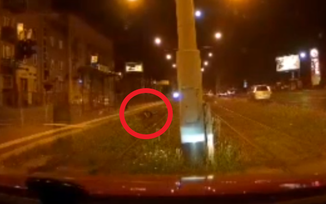 Czekała go okrutna śmierć na torach