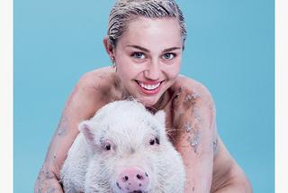Miley Cyrus NAGO w magazynie Paper znowu szokuje! Chce być najbrzydszą piosenkarką ever? [GALERIA +18]