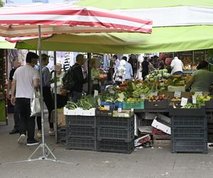  Ceny nowalijek na warszawskich bazarach szokują. Byliśmy i sprawdziliśmy ile trzeba zapłacić