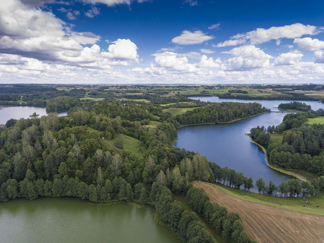 Suwałki - tu żyje się najlepiej w województwie podlaskim. AI nie ma wątpliwości