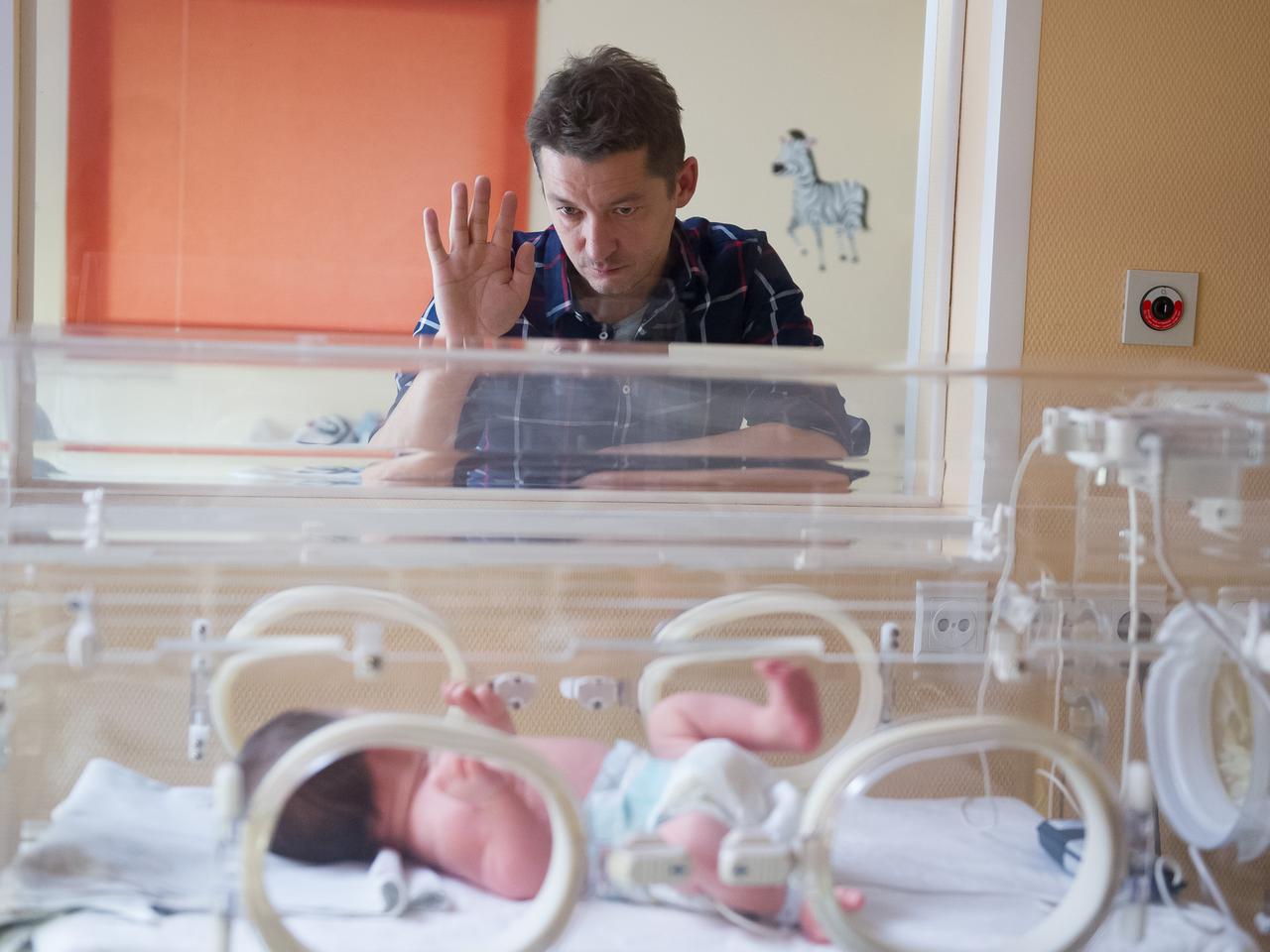 Na Wspólnej odc. 2202. Bogdan (Wojciech Brzeziński)