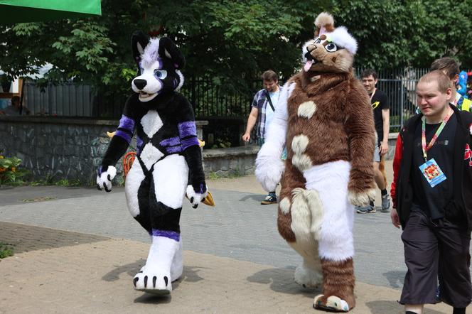 Marsz futrzaków w Lublinie. Tak wyglądał I Lubelski Fursuitwalk