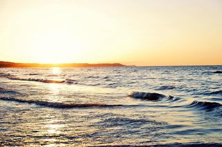 Ciało wieloryba ze Świnoujścia ponownie widziane. Tym razem na plaży w Wisełce